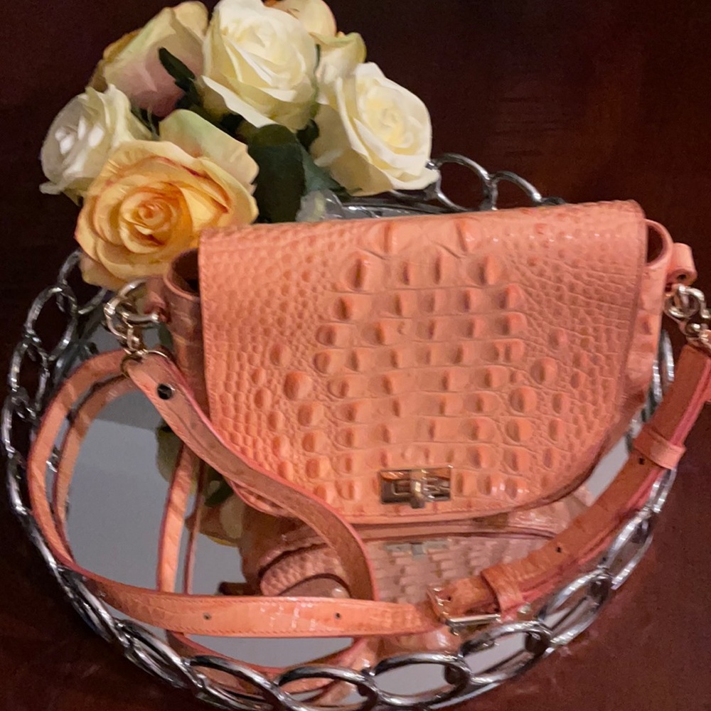 Brahmin bag
